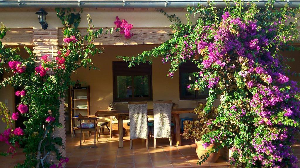 Finca El Corral Lliber Quarto foto